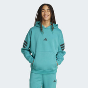 Bluza męska adidas Future Icons 3-Stripes JW7096