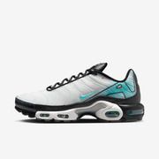 Buty męskie Nike Air Max Plus HV6225-100