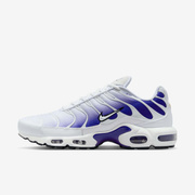 Buty męskie Nike Air Max Plus DM0032-105