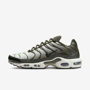 Buty męskie Nike Air Max Plus DM0032-300