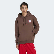 Bluza męska adidas Graphic JX3095