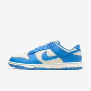 Buty męskie Nike Dunk Low Retro DV0833-113