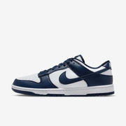 Buty męskie Nike Dunk Low Retro HF5441-107